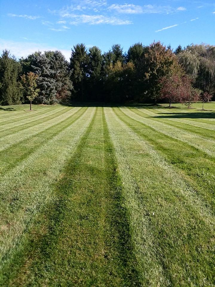 Perfectly striped green lawn by Lawn Impressions in Franklin, Ohio
