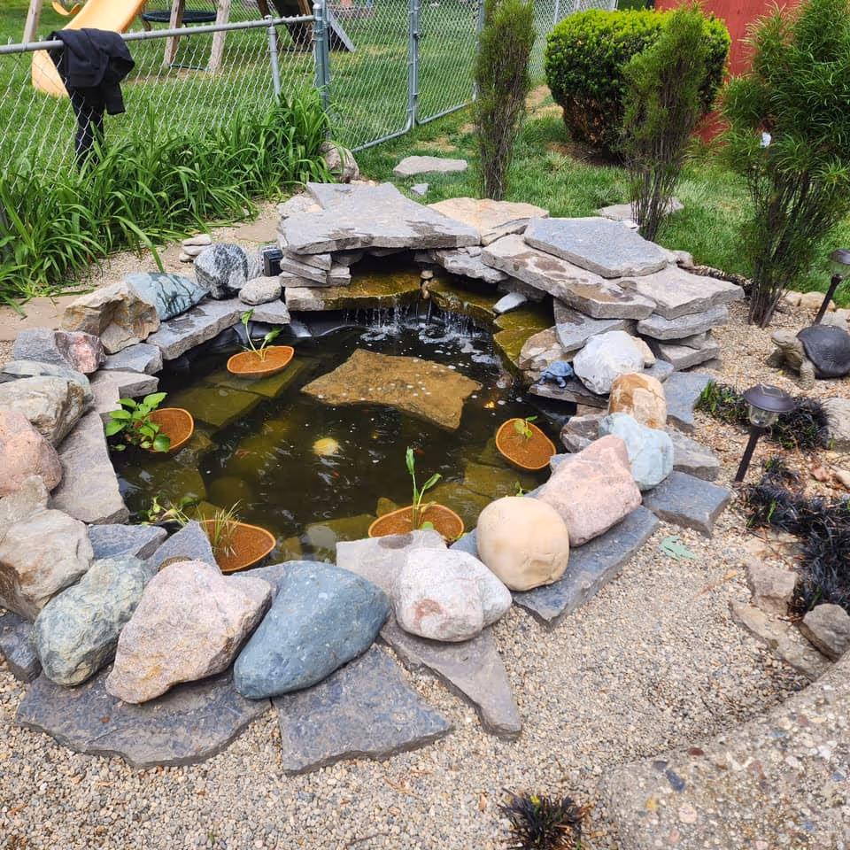 Custom pond with rock waterfall feature designed by Lawn Impressions